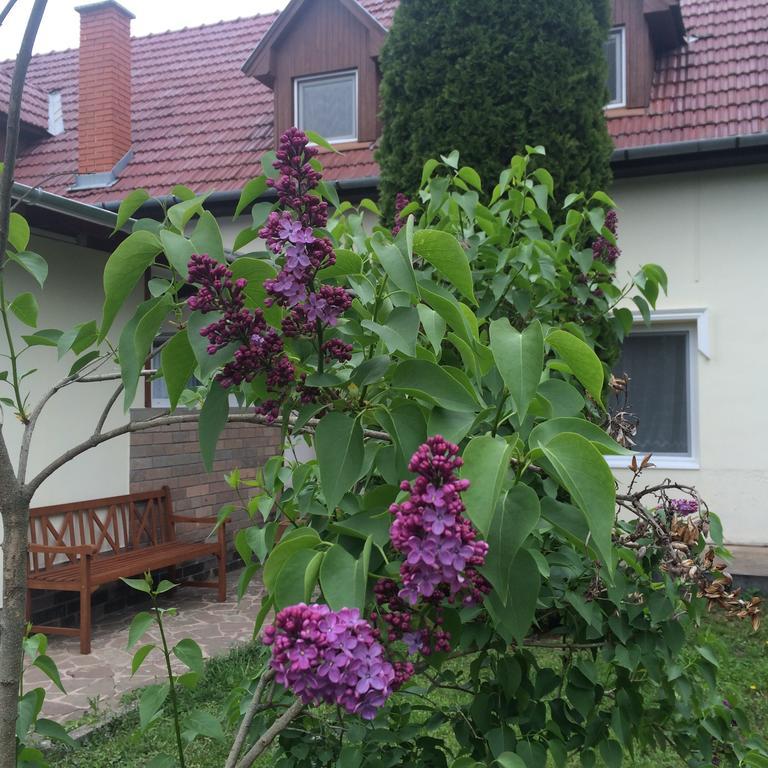 Harmonia Panzio Apartment Bogács Exterior photo